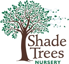 Shade Trees Nursery